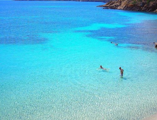 Sardegna, natura da vivere