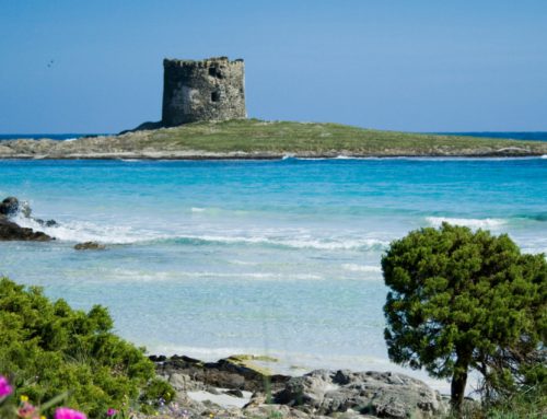 Stintino La Pelosa: Perla del nord ovest della Sardegna!
